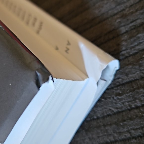 Michelle Obama book Becoming - Picture 5 of 5